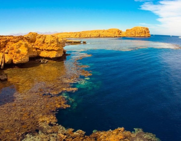 Ras Mohammed National Park Day Trip